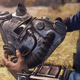 Illustration for article titled Bethesda Says It Plans To Fix iFallout 76/i’s Item Storage Problemem/em